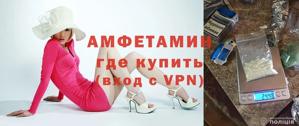 прущие грибы Гусев