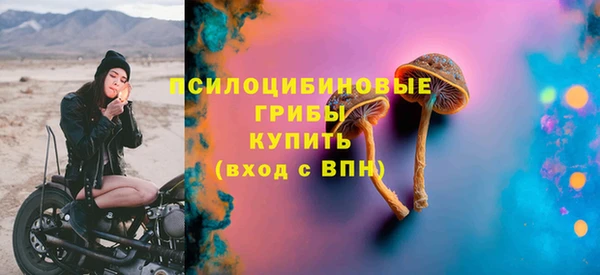 гидра Гусиноозёрск