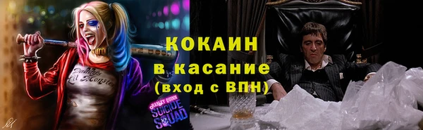 соль ск Гусь-Хрустальный