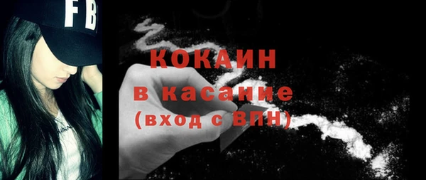 гидра Гусиноозёрск