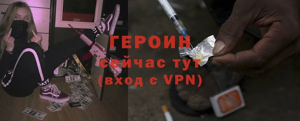 прущие грибы Гусев