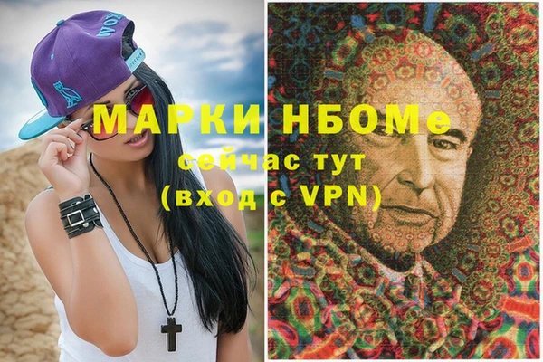 прущие грибы Гусев