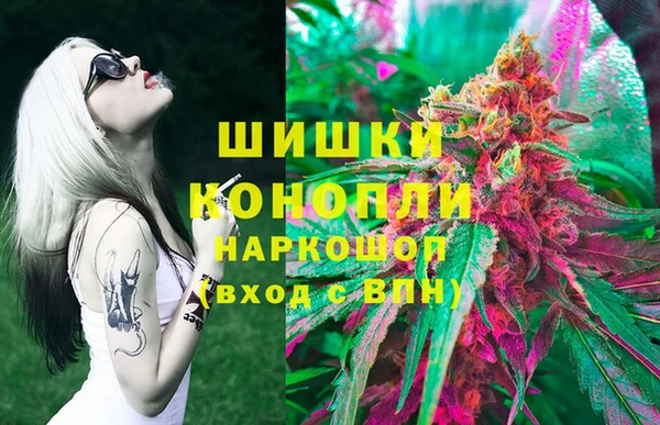 прущие грибы Гусев