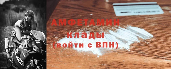 гидра Гусиноозёрск