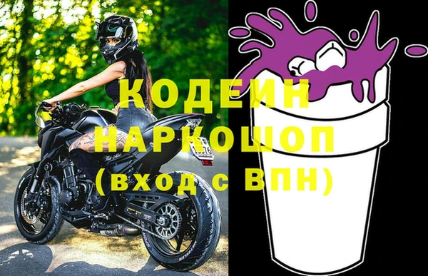 прущие грибы Гусев