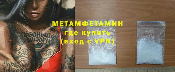 прущие грибы Гусев