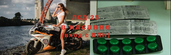 крисы Дмитровск
